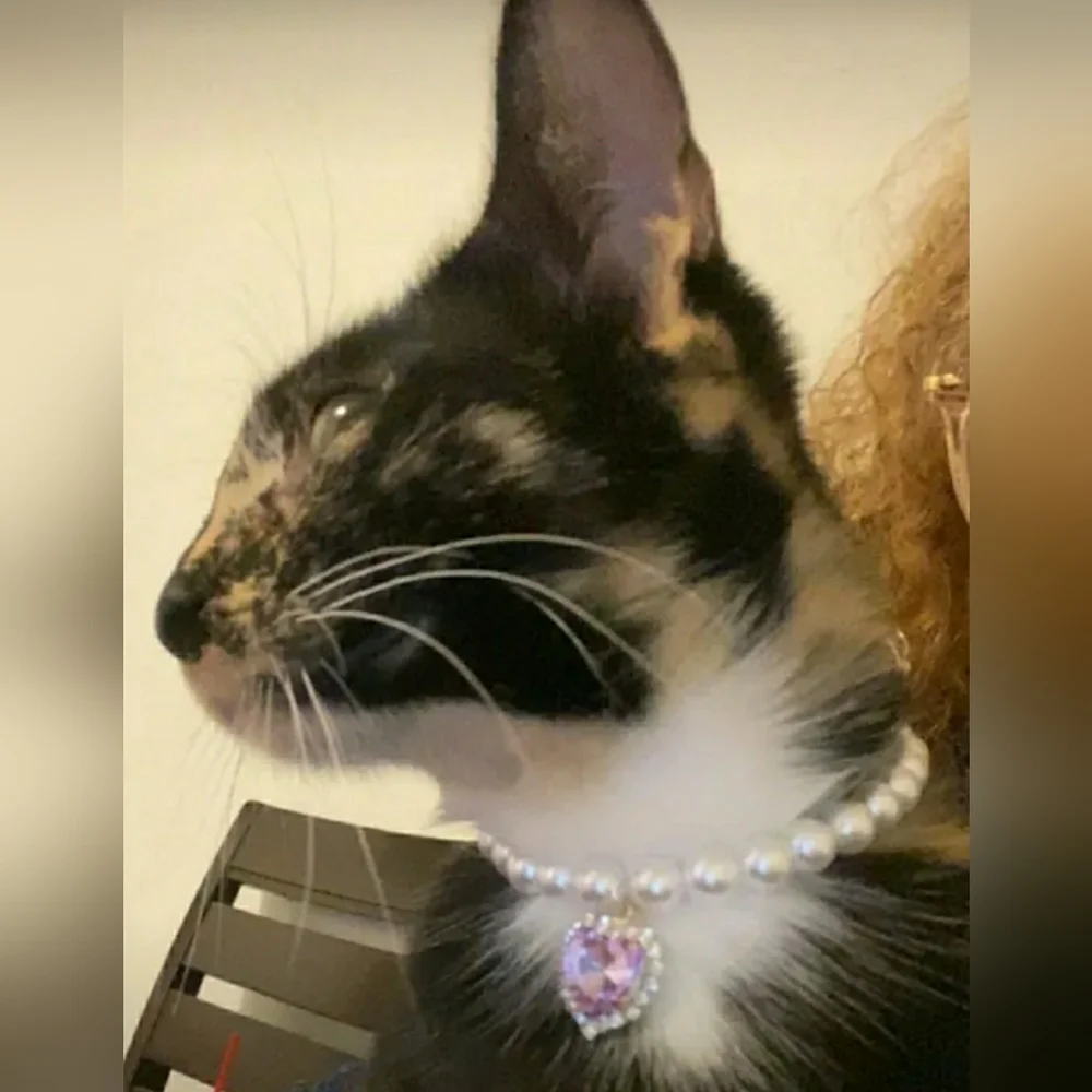 ⭐HOST PICK ⭐ PET NECKLACE